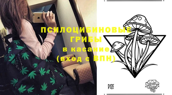 каннабис Абаза
