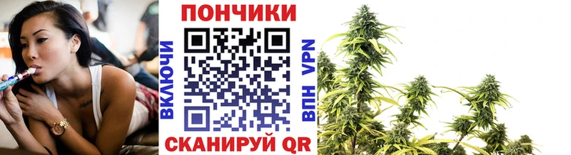 где найти   Агидель  Бошки Шишки Amnesia 